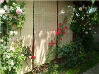 0addb1db-Picture 2264.jpg